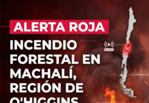 ALERTA ROJA EN O’HIGGINS: incendio forestal obliga despliegue total de equipos de emergencia en Machalí