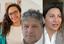Diputadas y Diputado de Aysén se dividen por rebaja de impuestos a grandes empresas