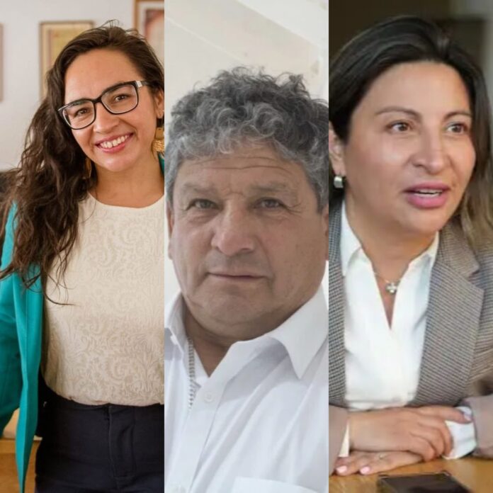 diputados de asyen