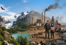 DÍA MUNDIAL DEL MEDIO AMBIENTE: DONDE LOS PÁJAROS NO CANTAN Y LA TIERRA SE DESANGRA.