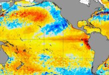 El Niño podría provocar mayores cortes de energía e interrupciones durante el invierno