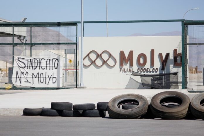 molyb codelco