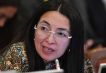 “Le llegó la minuta de Republicanos y se limitó a repetirla”: Urrutia acusa a Repenning de “instalar fake news” sobre reforma migratoria